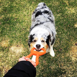 SP Pop Top Tug Toy - Tug O' War - Large - Orange