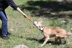 SP Pop Top Tug Toy - Tug O' War - Large - Orange