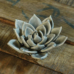 Ceramic Succulent - Grey