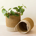 Mustard Baskets with Handle, set of 2 - Cylinder Baskets | LIKHA