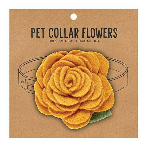 Medium Pet Collar Flower - Marigold