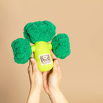 Broccoli Nose Work Toy