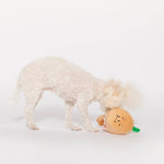 Yellow Onion Nosework Toy