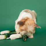 Green Onion Nosework Toy