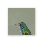 Female Violet Sabrewing Hummingbird Wood Wall Art Decor