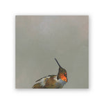 Allen's Hummingbird Wood Wall Art Decor 6 x 6