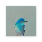 6 x 6 Mountain Bluebird Panel Wings on Wood