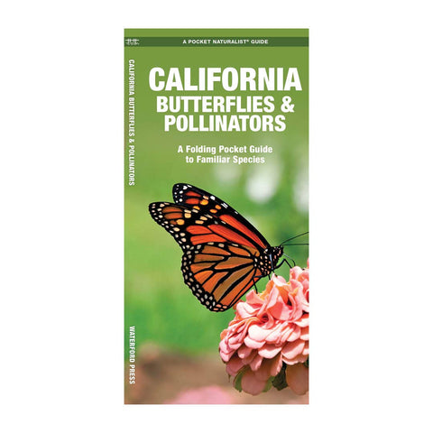 California Butterflies & Pollinators