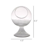 Sole Terrarium, Glass - Round, Sm