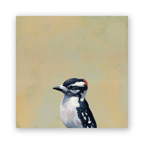 8 x 8  Downy Woodpecker Panel Wings on Wood